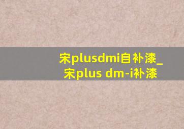 宋plusdmi自补漆_宋plus dm-i补漆